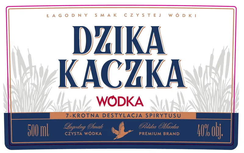 Dzika Kaczka